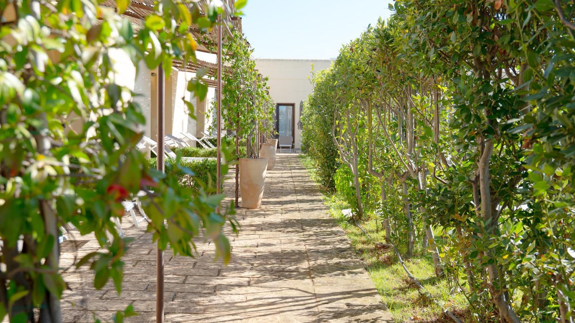 Delle Rose, Hotel & Horse Riding Torre Vado Exterior foto