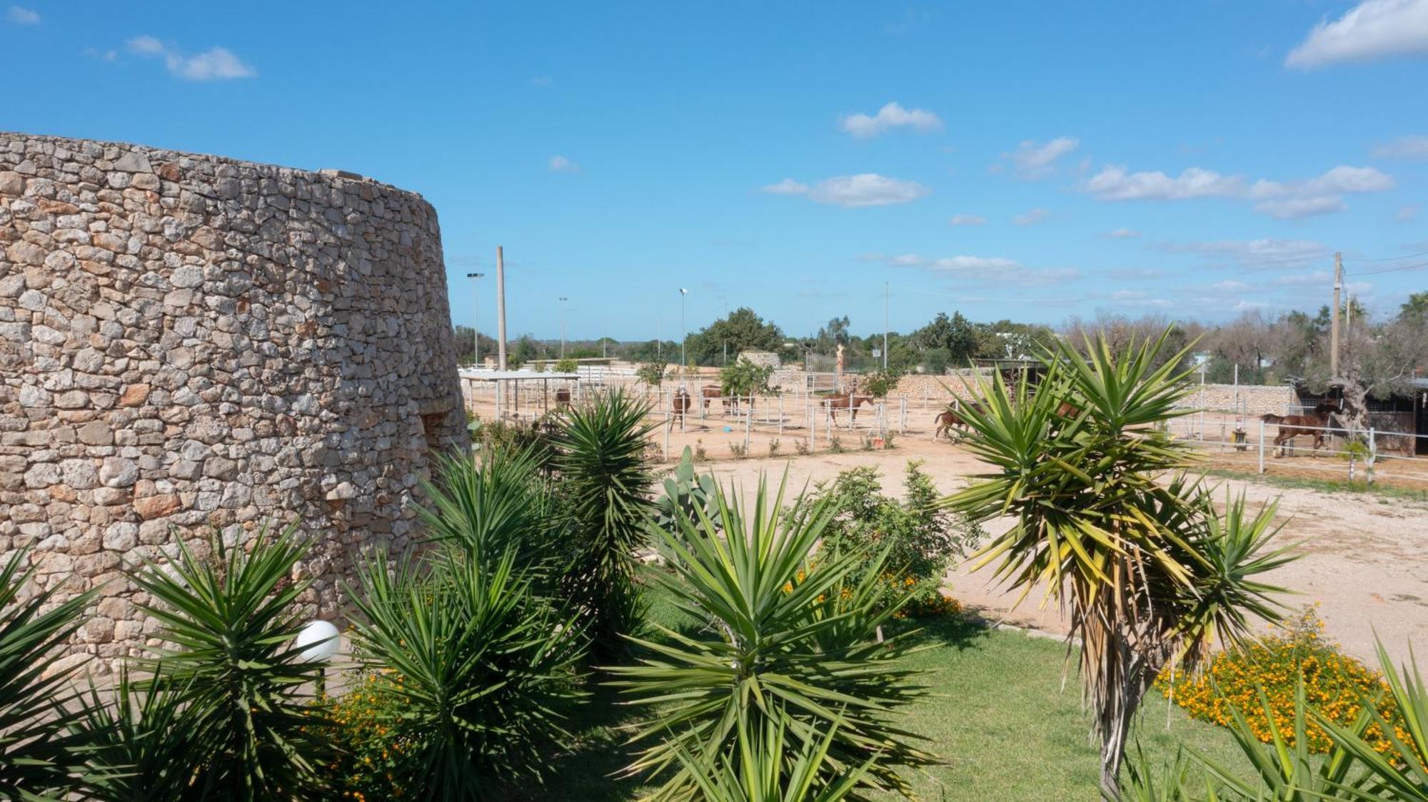 Delle Rose, Hotel & Horse Riding Torre Vado Exterior foto